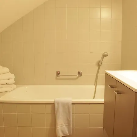 Logis Saint Clair 2* Albi