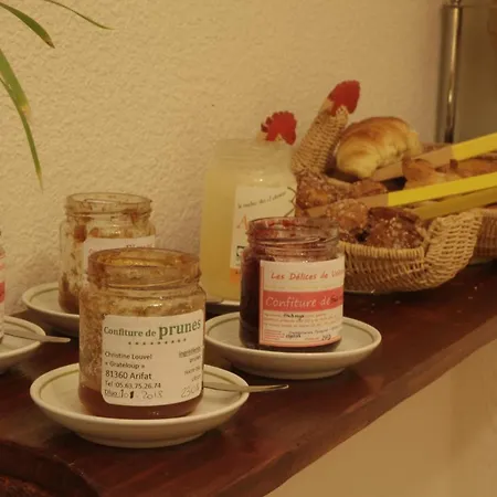 Hotel Logis Saint Clair Albi
